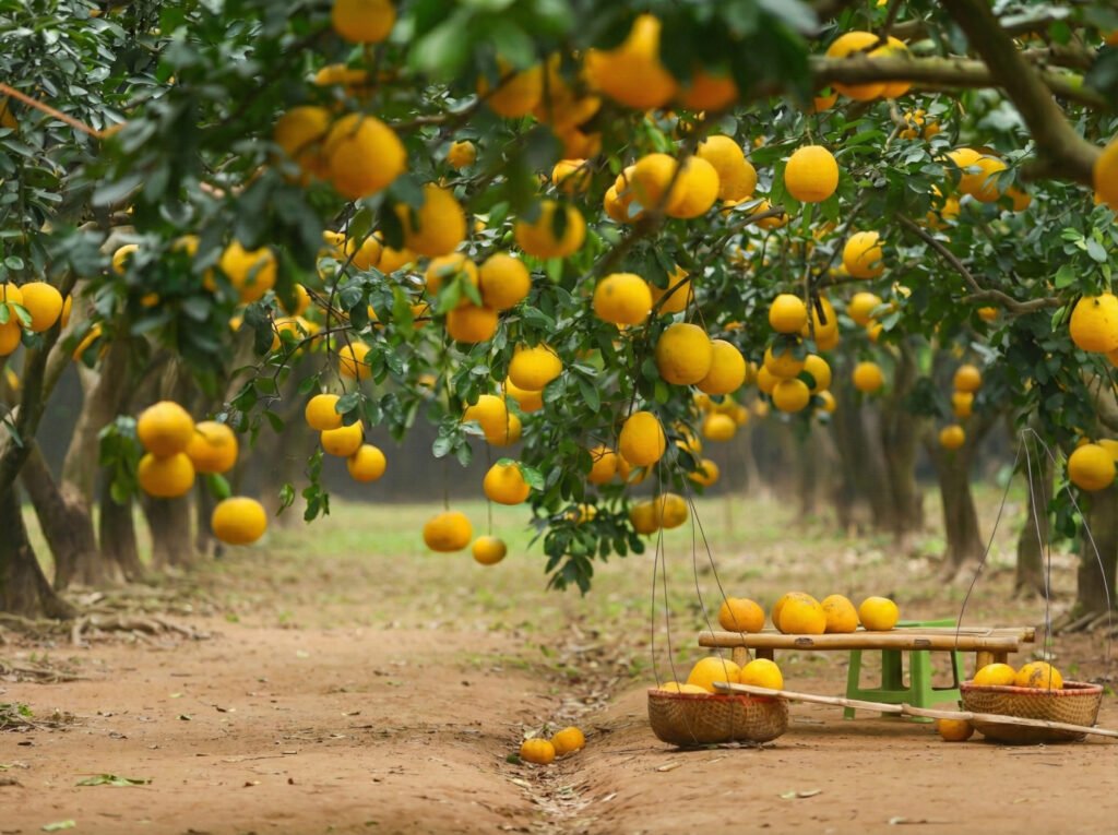 38bcb63ffd0fe841b4db9abfece481bef7718b45