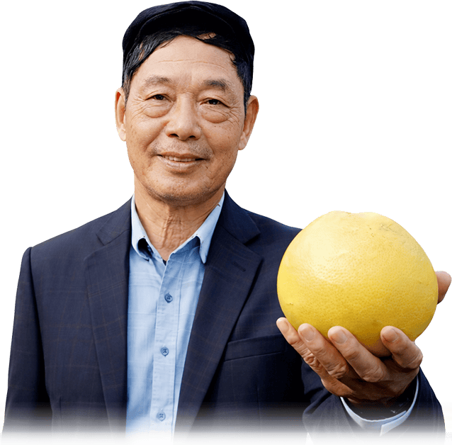 gt buoi que duong 11