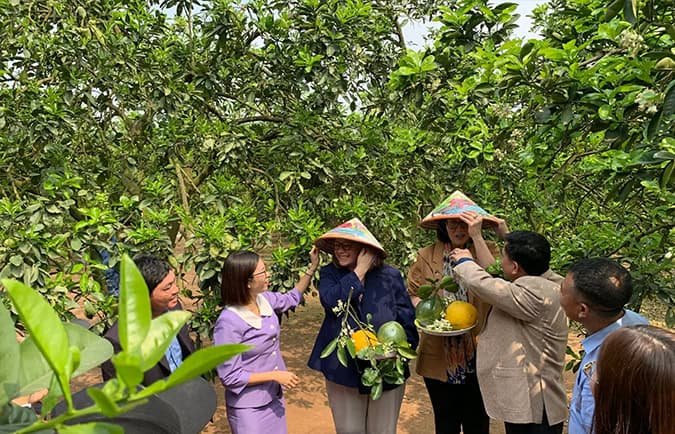 Chiếc nón Việt Nam khiến các vị khách Mỹ rất thích thú.