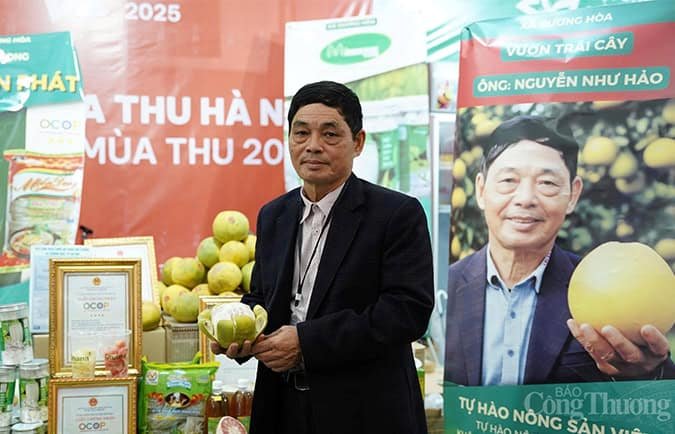 Ông Nguyễn Như Hảo, Giám đốc Hợp tác xã bưởi Quế Dương