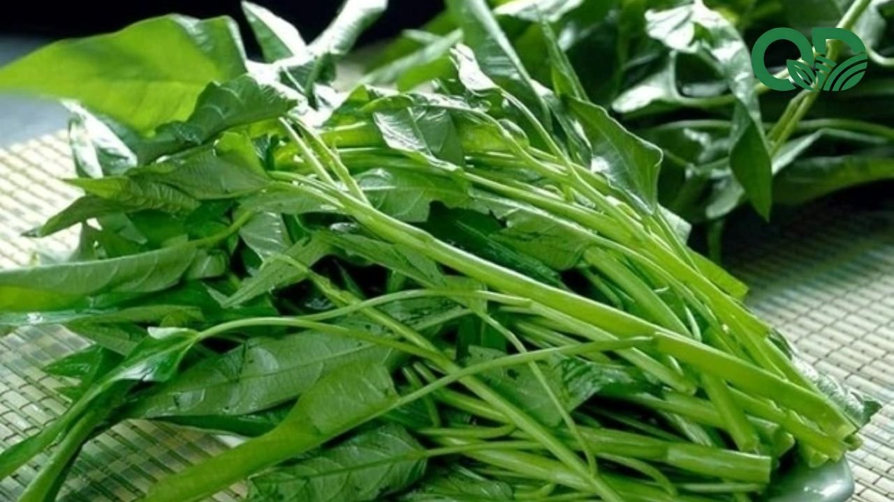 Chế độ ăn lành mạnh với rau sạch