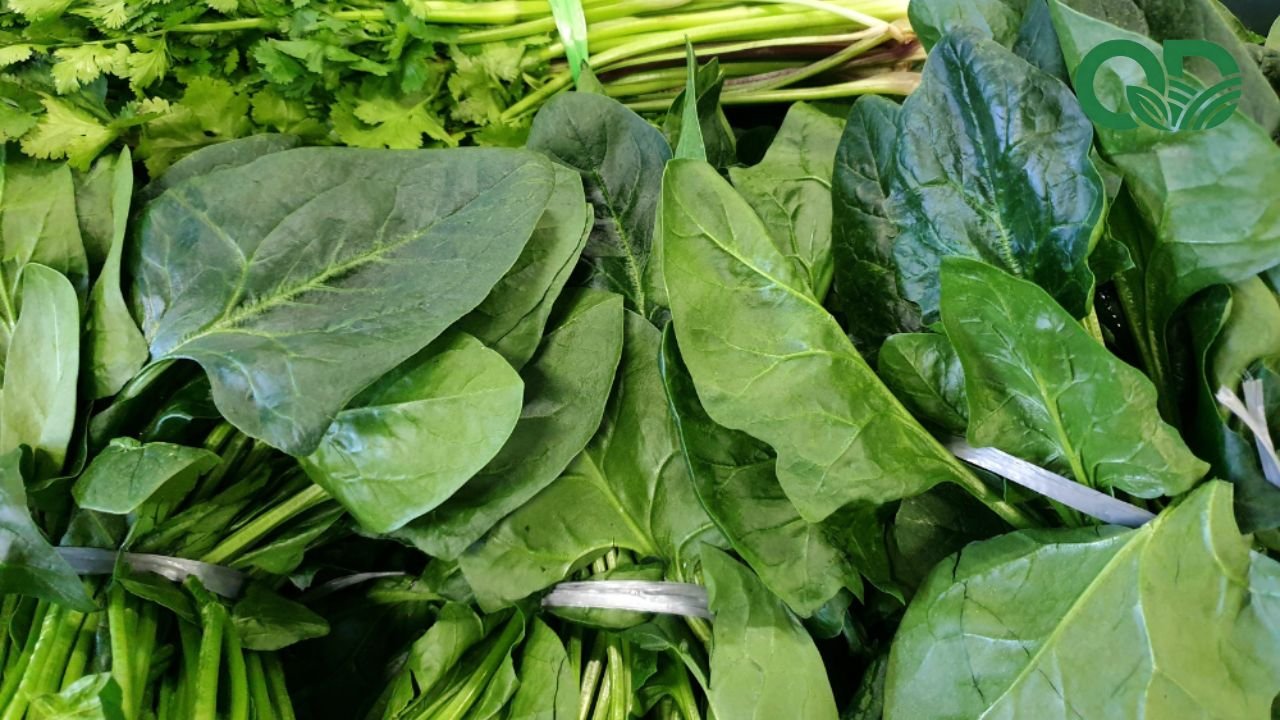 Chế độ ăn lành mạnh với rau sạch