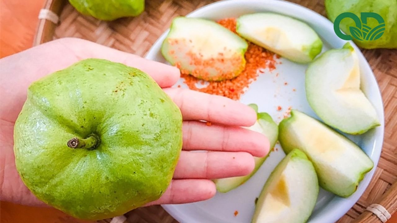 Công dụng của ổi đối với sức khỏe