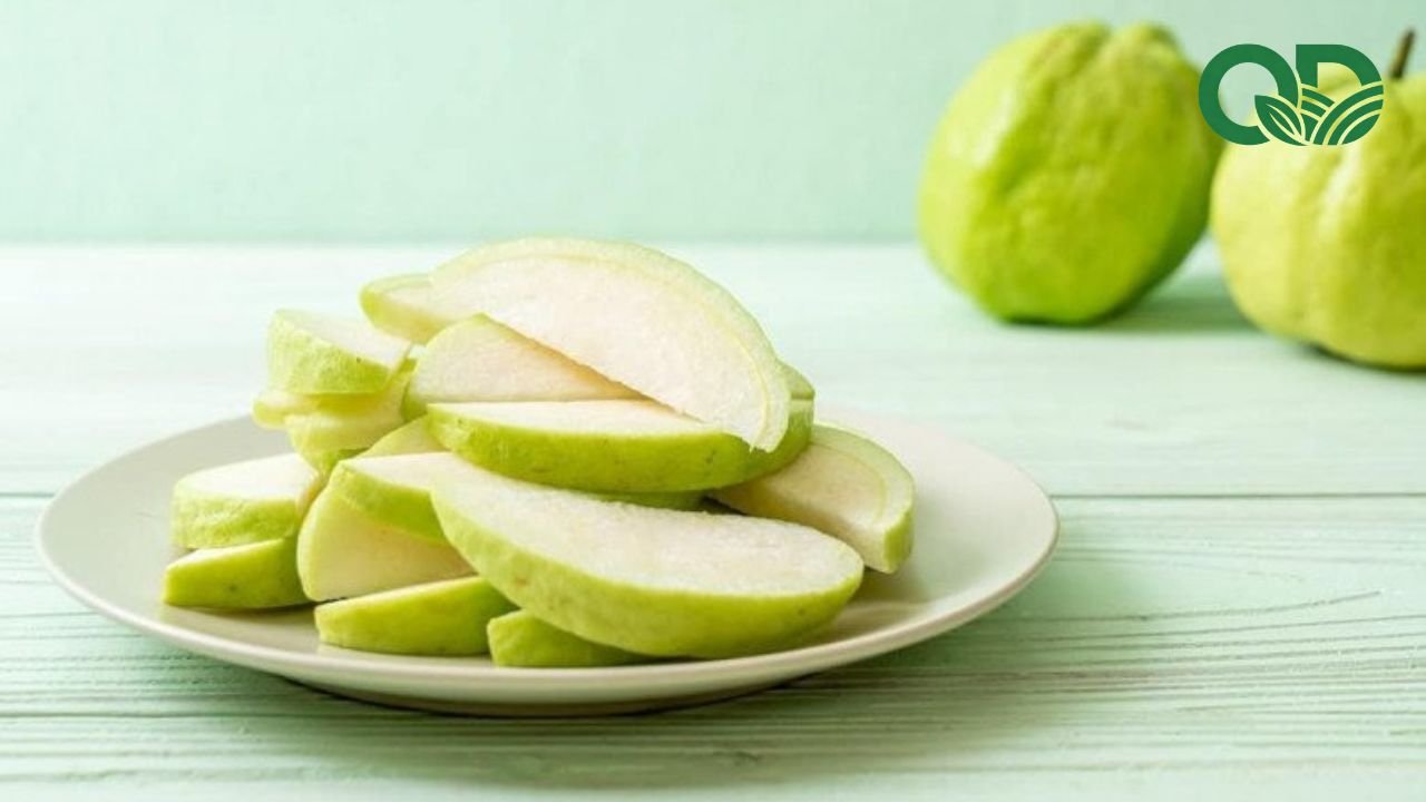 Công dụng của ổi đối với sức khỏe