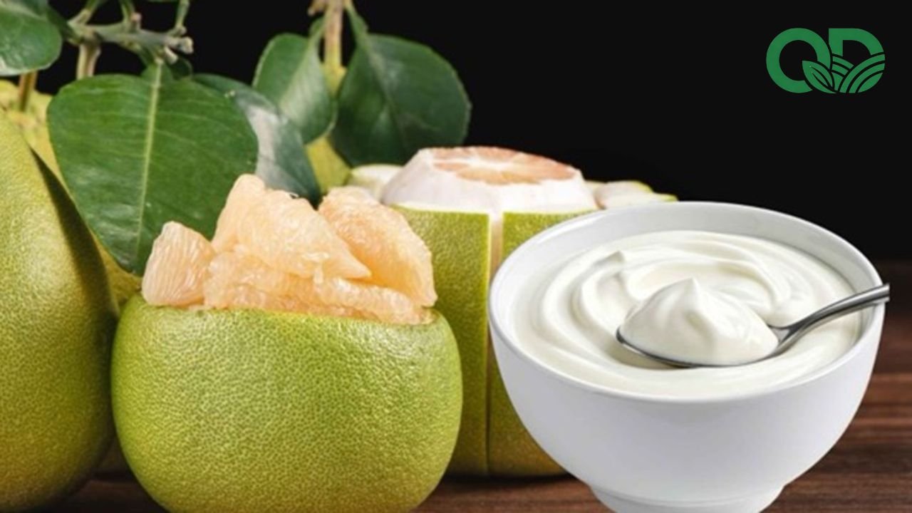 Món ngon từ bưởi