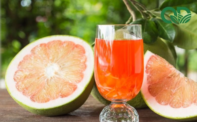 Nước ép bưởi