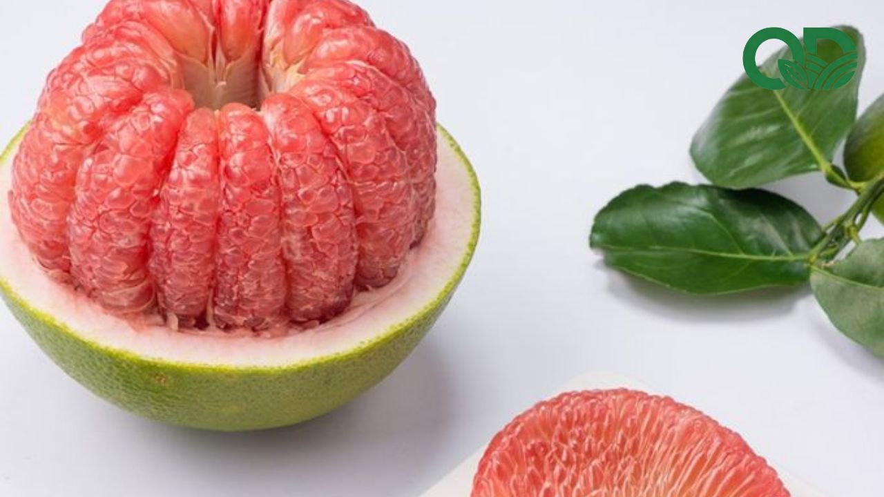 Nước ép bưởi