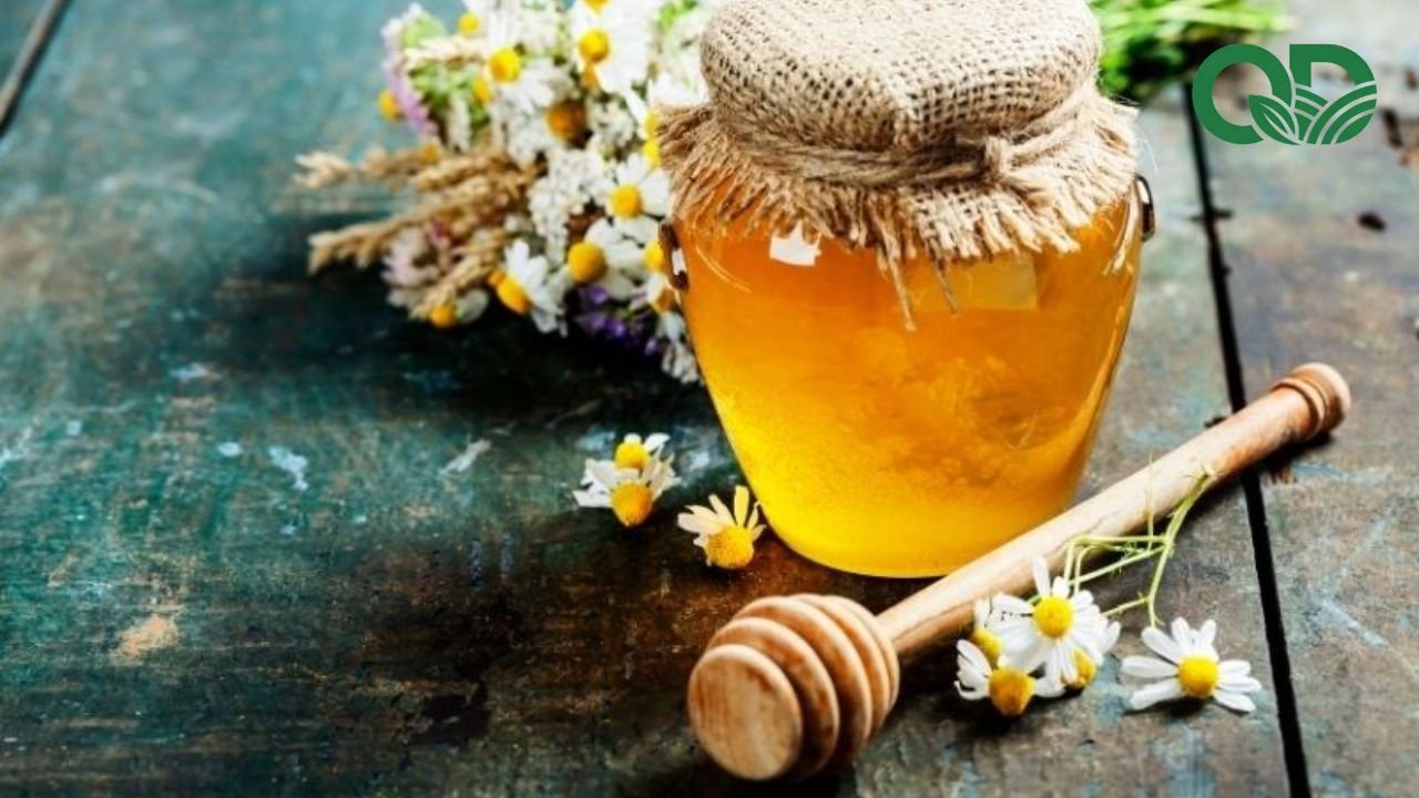 Nước ép bưởi