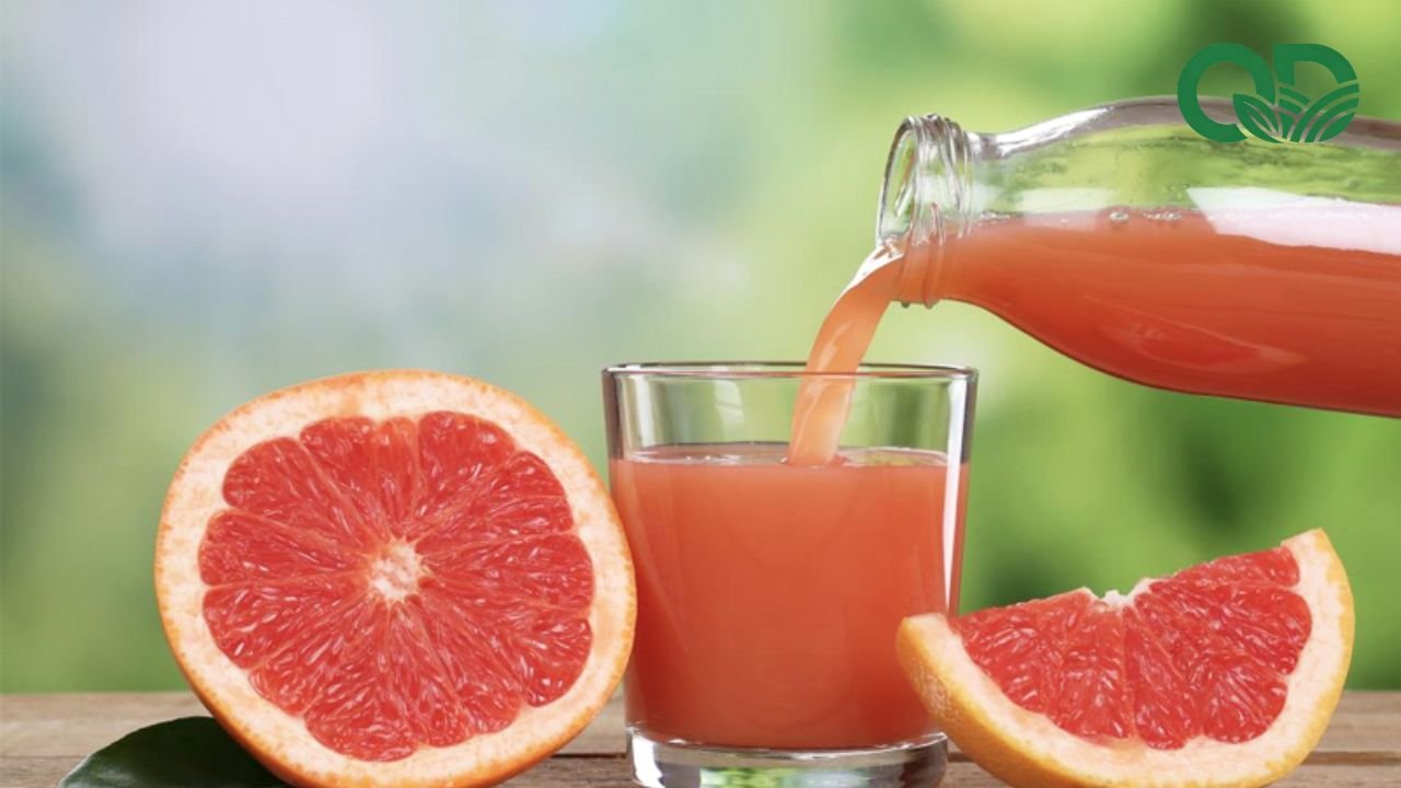 Nước ép bưởi