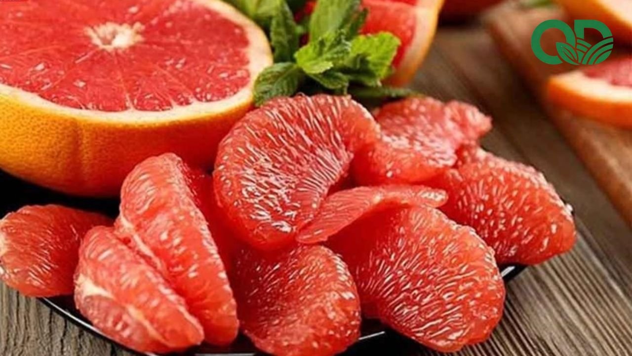 Nước ép bưởi