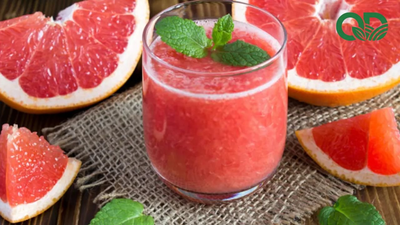 Nước ép bưởi