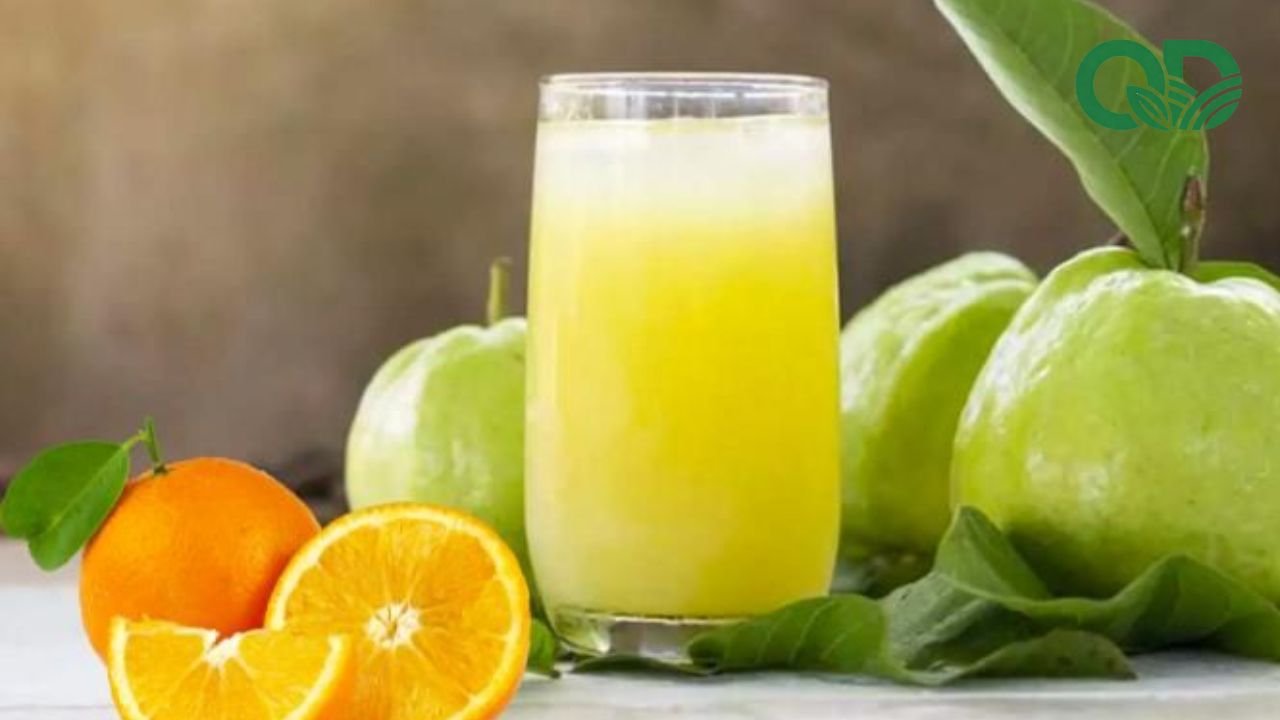 Nước ép ổi