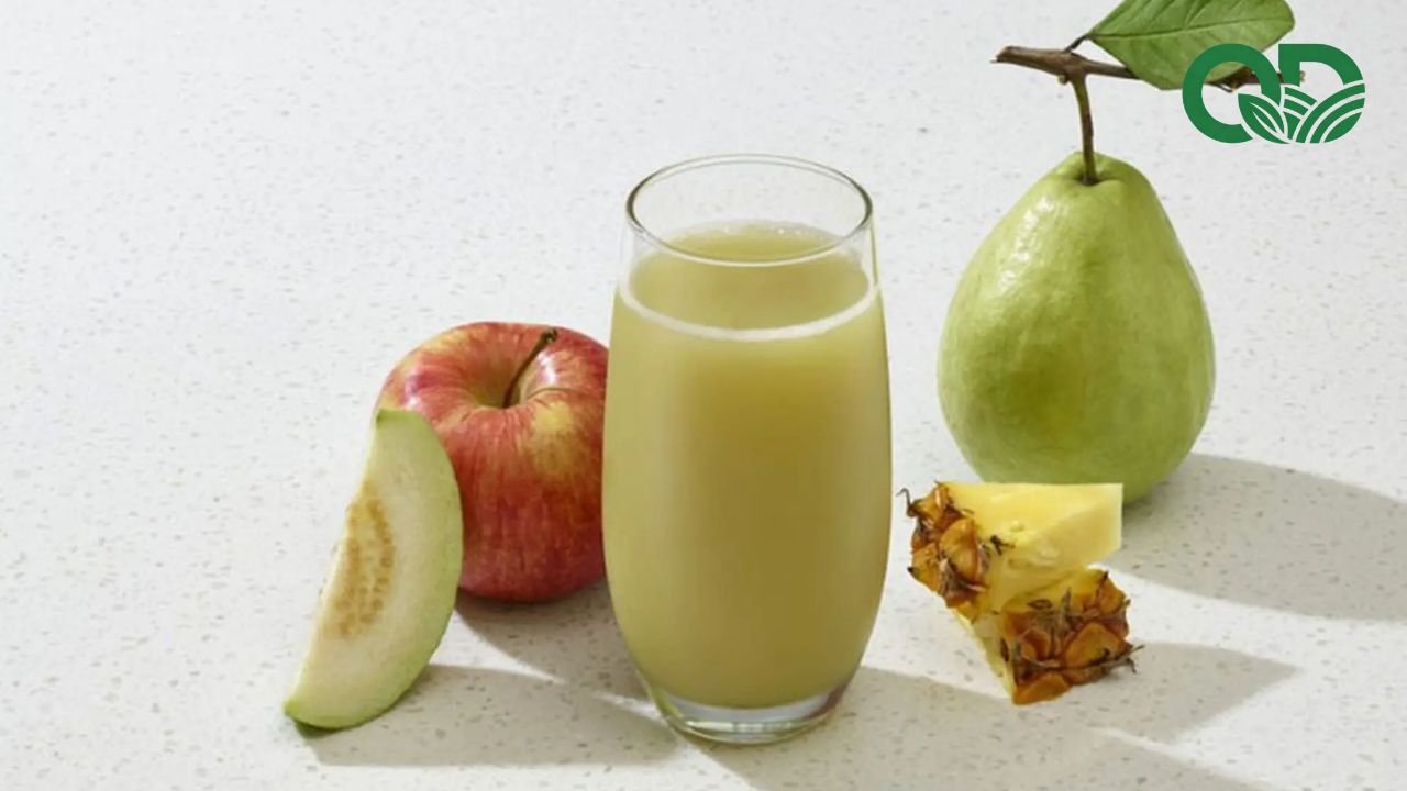 Nước ép ổi