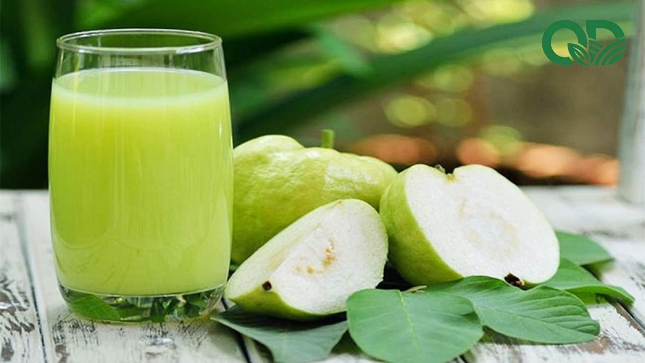 Nước ép ổi