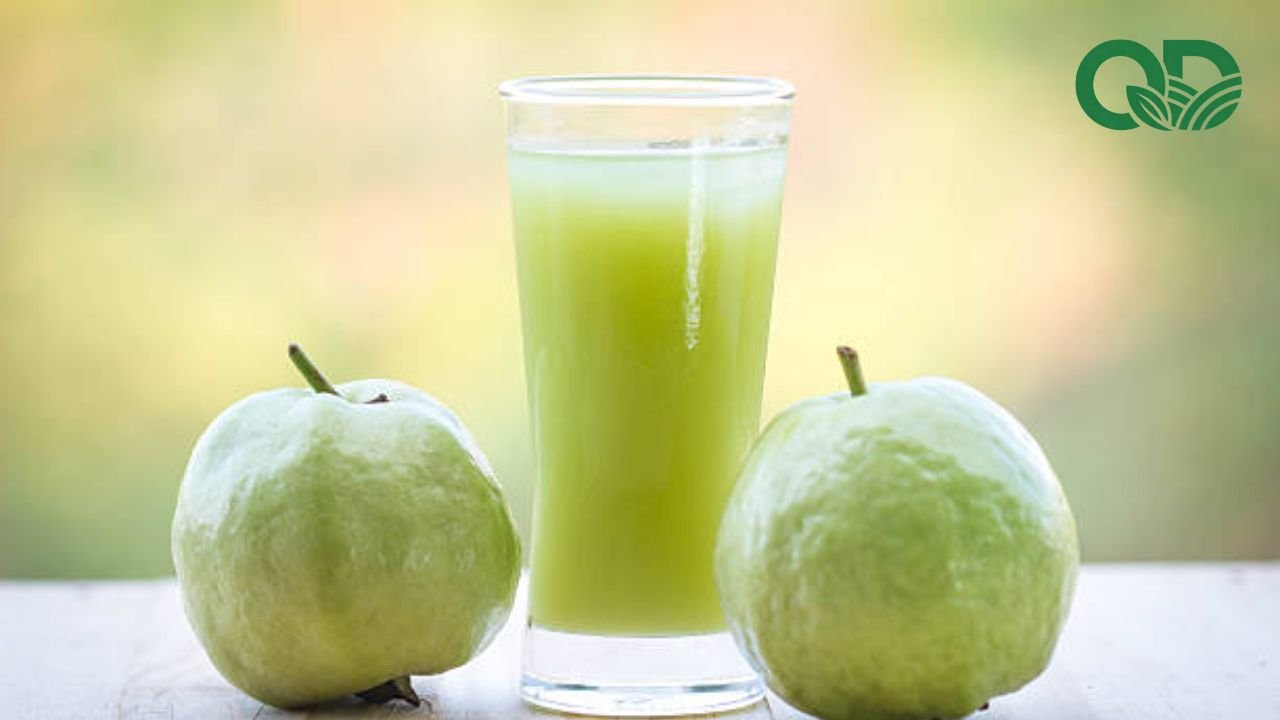 Nước ép ổi
