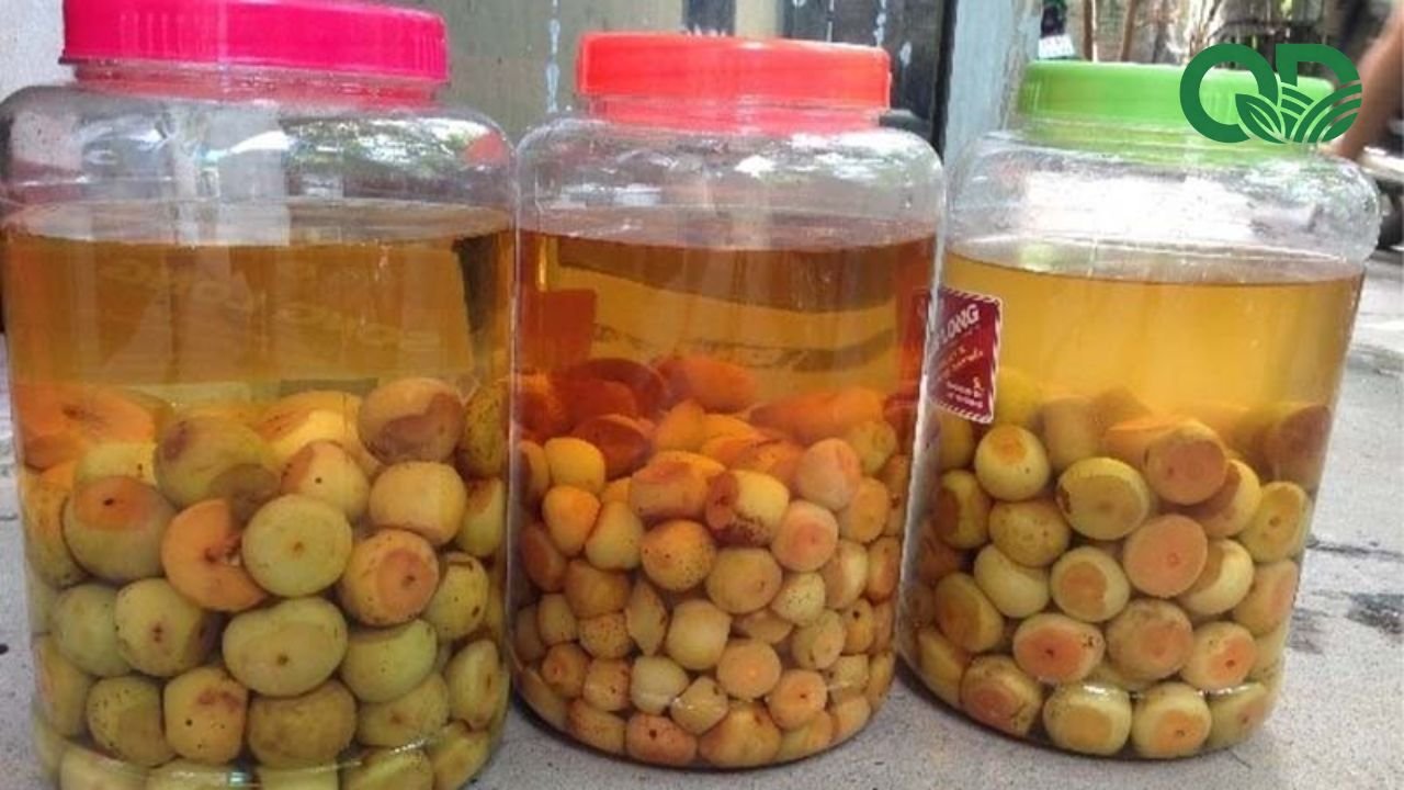 Ổi ăn vặt