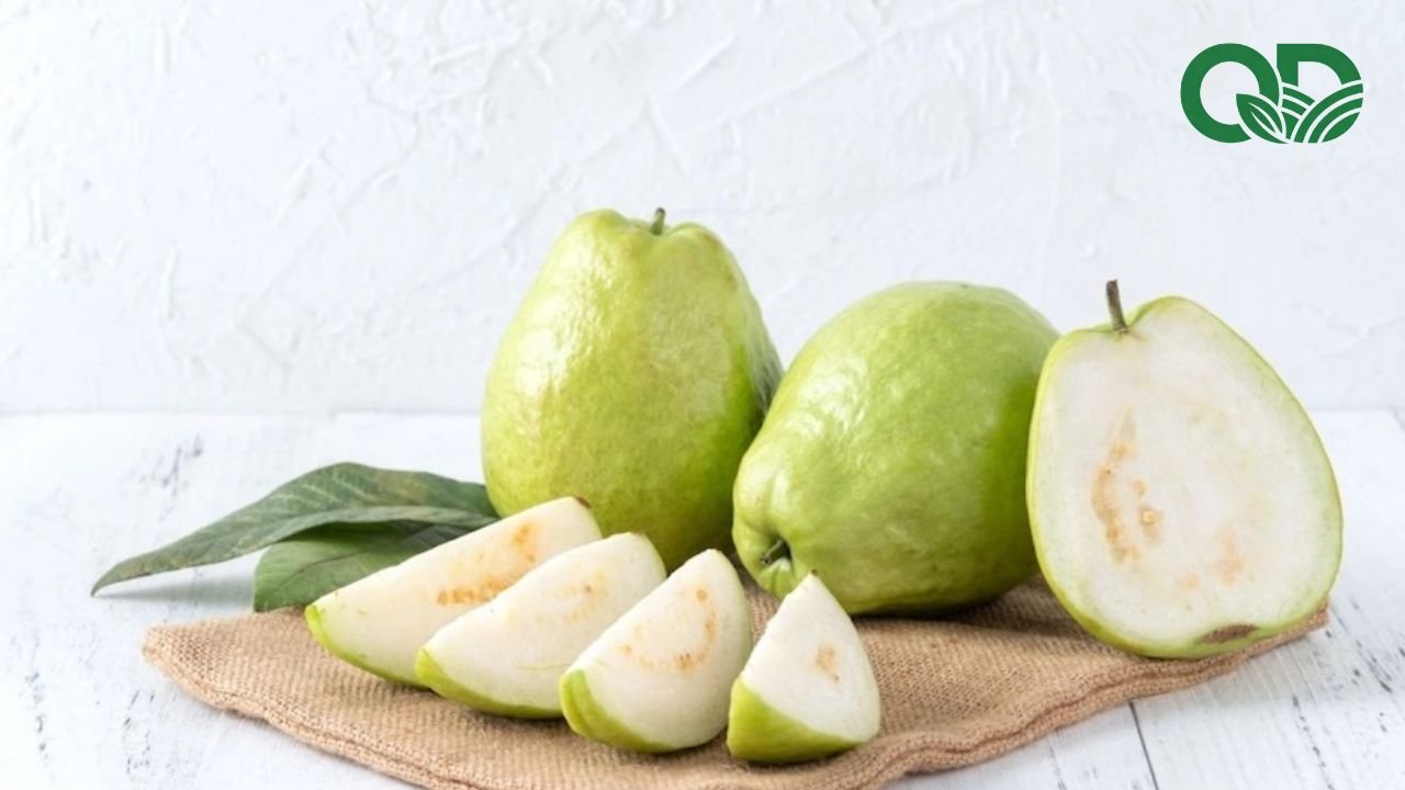 Salad ổi