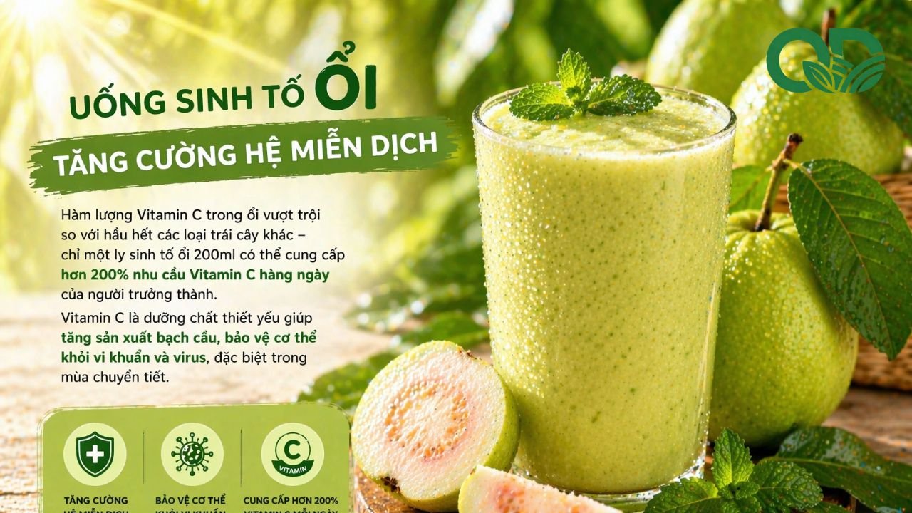 Sinh tố ổi