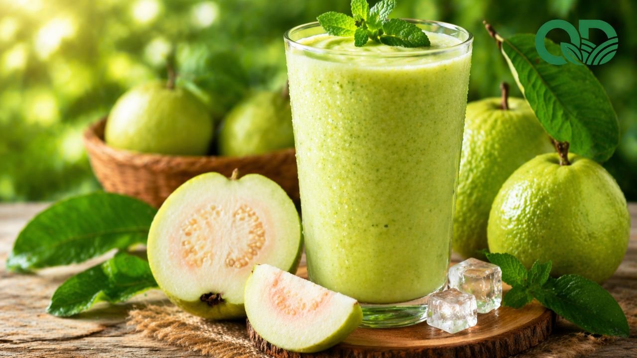 Sinh tố ổi