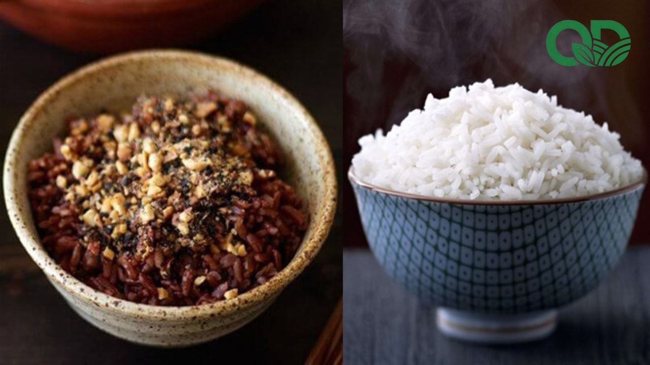 Thực phẩm sạch cho gia đình