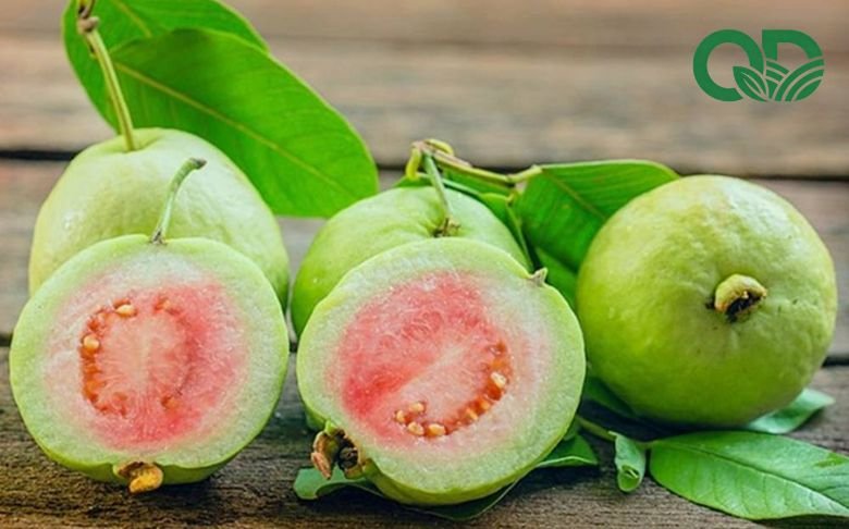 Vitamin C trong ổi