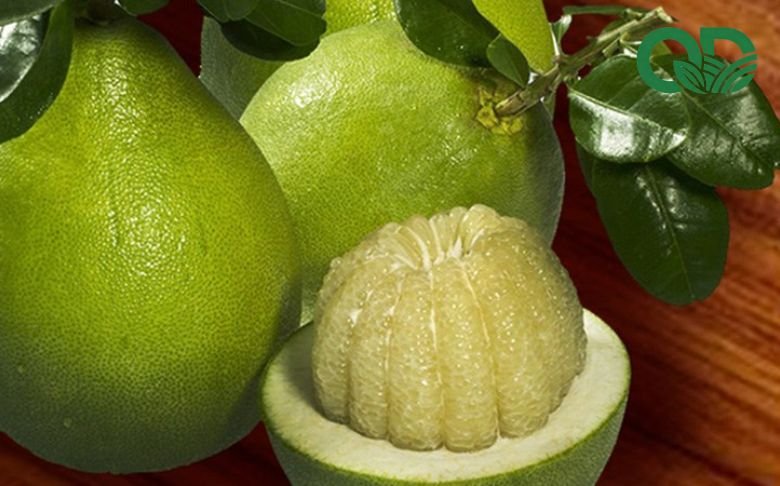 Bưởi để được bao lâu