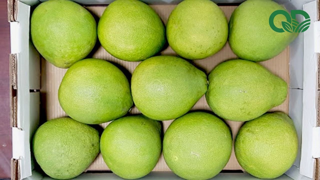Bưởi để được bao lâu