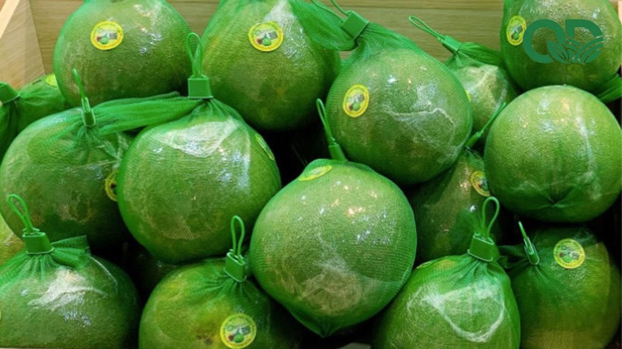 Bưởi để được bao lâu