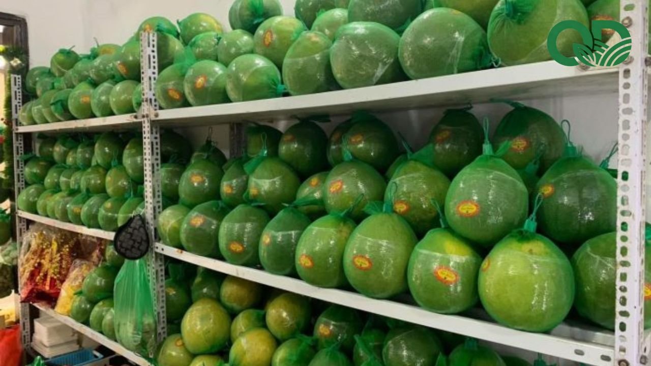 Bưởi để được bao lâu