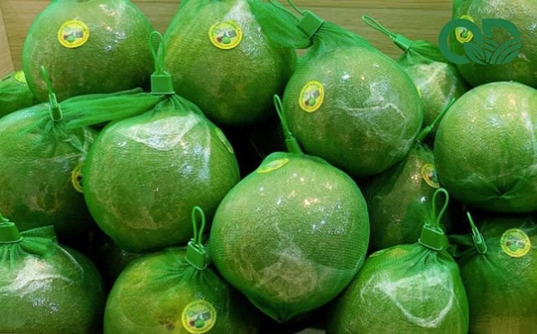 Cách thu hoạch và bảo quản bưởi tươi lâu