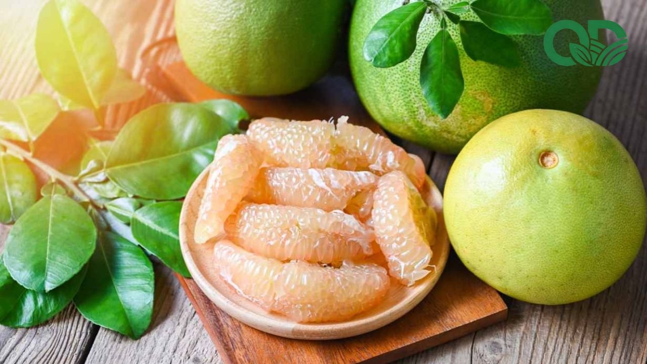 Cách thu hoạch và bảo quản bưởi tươi lâu