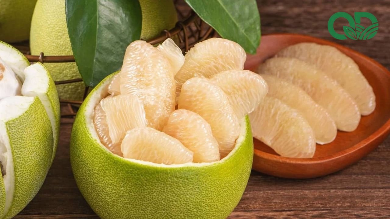 Cách thu hoạch và bảo quản bưởi tươi lâu