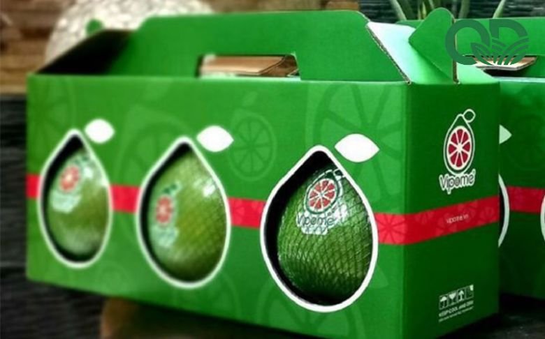 đóng gói bưởi xuất bán
